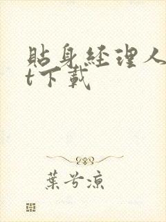 贴身经理人txt下载