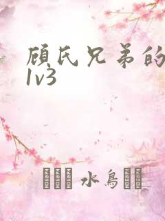 顾氏兄弟的南宁1v3