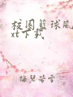 校园篮球风云txt下载