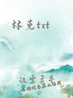 林克txt