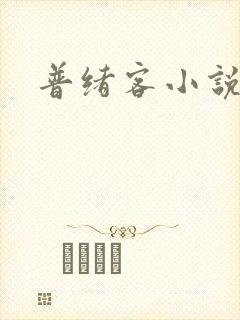 普绪客小说