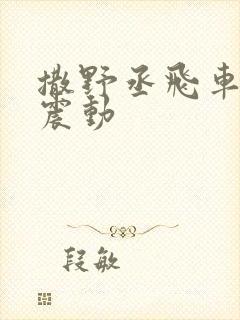 撒野丞飞车道具震动