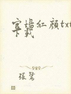官场红颜txt下载