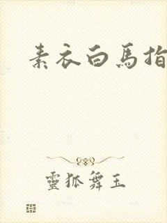 素衣白马指天下