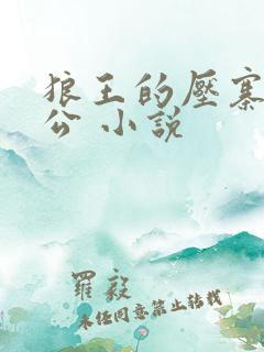 狼王的压寨小相公 小说