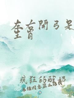 左右开弓是什么生肖