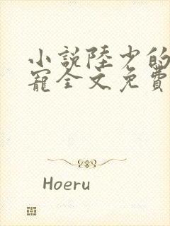 小说陆少的心尖宠全文免费阅读