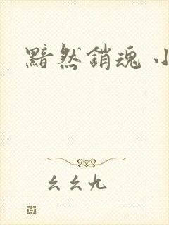 黯然销魂 小说