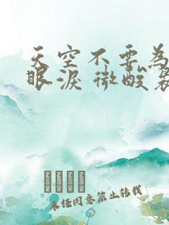 天空不要为我掉眼泪 微酸袅袅