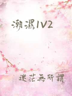 潮湿1V2