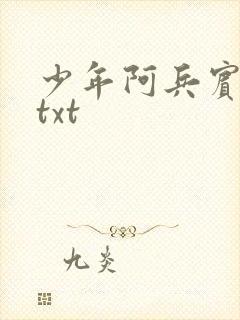 少年阿兵宾小说txt