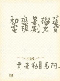 初恋是榴莲先生电视剧免费观看