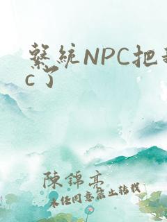 系统NPC把我c了