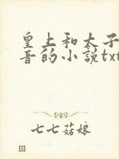 皇上和太子妃沈音的小说txt