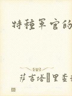 特种军官的宠妻