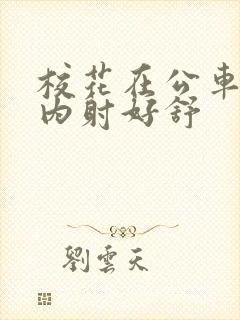 校花在公车上被内射好舒