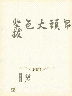 紫色大头昂扬挺拔