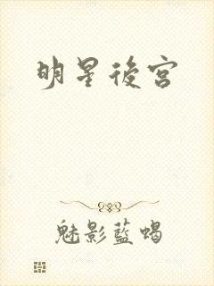 明星后宫