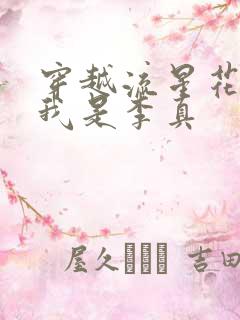 穿越流星花园之我是李真