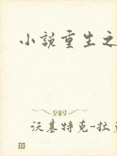 小说重生之官道