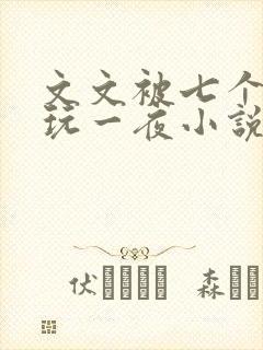 文文被七个男人玩一夜小说