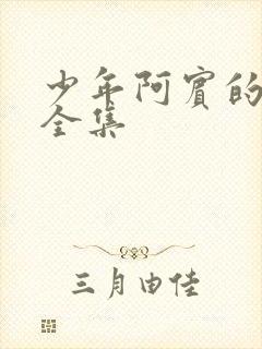 少年阿宾的故事全集