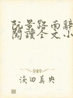 阮景路南辞免费阅读全文小说