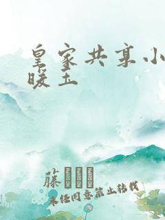 皇家共享小公主暖玉