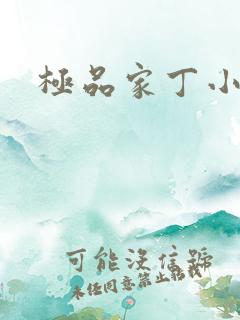 极品家丁小说