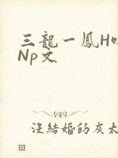 三龙一凤H啪肉Np文