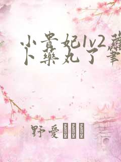 小贵妃1v2萝卜药丸了笔趣阁