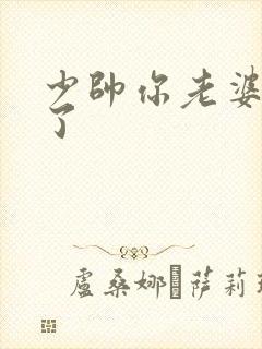 少帅你老婆又跑了