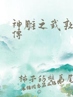 神雕之武敦儒大传