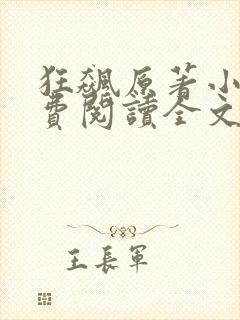 狂飙原著小说免费阅读全文