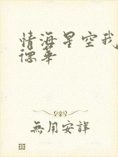 情海星空我与刘德华