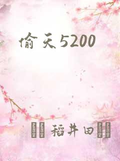 偷天5200
