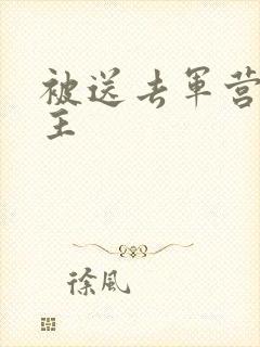 被送去军营的公主