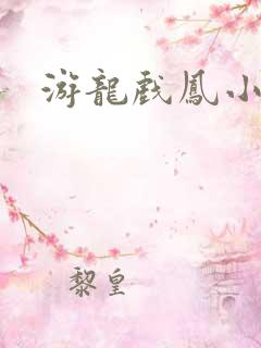 游龙戏凤小说