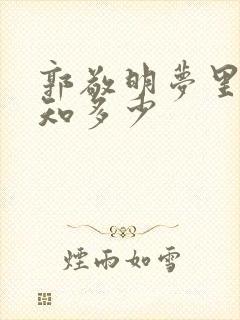 郭敬明梦里花落知多少