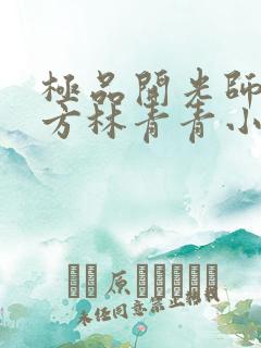 极品开光师李南方林青青小说叫