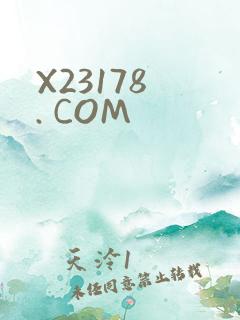 X23178 . COM