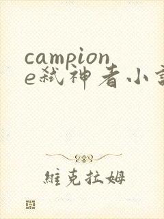 campione弑神者小说