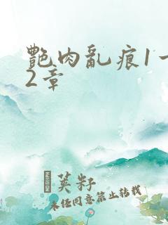 艳肉乱痕1一12章