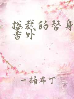 总裁的替身前妻番外