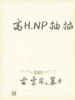 高H.NP抽插