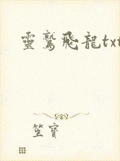 灵鹫飞龙txt