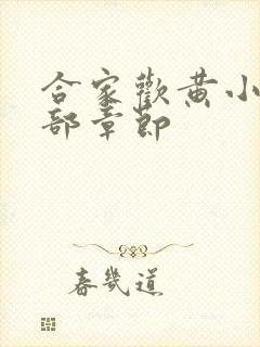 合家欢黄小梅全部章节