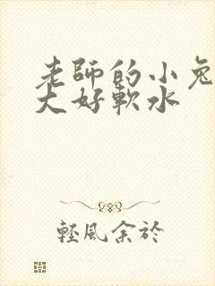 老师的小兔子好大好软水