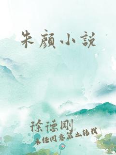朱颜小说