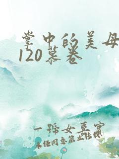 掌中的美母版主120慕卷